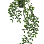 گیاه مصنوعی آویزی ایکیا FEJKA با ارتفاع 70 سانتی‌متر مناسب دکوراسیون داخلی و فضای باز