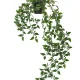 گیاه مصنوعی آویزی ایکیا FEJKA با ارتفاع 70 سانتی‌متر مناسب دکوراسیون داخلی و فضای باز