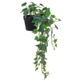 گیاه مصنوعی آویزی پیچک ایکیا FEJKA با ارتفاع 69 سانتی‌متر مناسب دکوراسیون داخلی و فضای باز